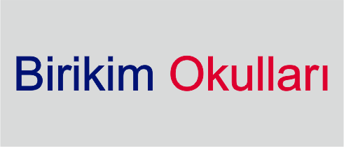 Birikim Okulları
